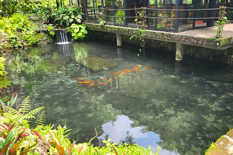 Hidden Valley Springs | Lunch | Taal Volcano Viewing (2in1)