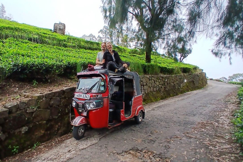 ELLA Lipton Seat Tea Test & Pluck 9Arch, Waterfalls, & Food Lipton's Seat, Little Adam Peak, 9 Arch, Ravana Waterfalls