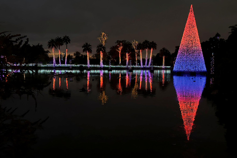 Phoenix: Phoenix ZooLights Entry Ticket