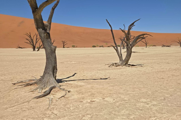 From Swakopmund: 2-Day Sossusvlei Scenic Journey (1 Night)