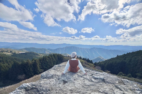 Wakayama: Hidden Coastal Nature & Sunset Tour From Osaka