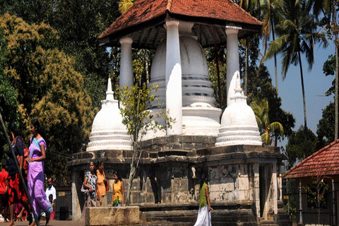 Kandy Heritage and Cultural Temple Tour