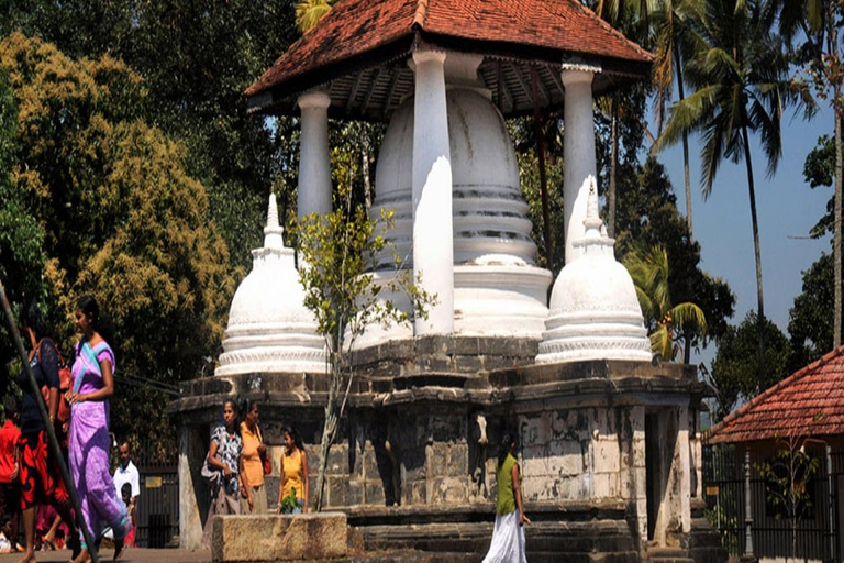 Kandy Heritage and Cultural Temple Tour