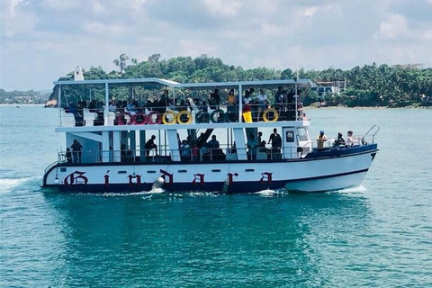 Mirissa: Whale & Dolphin Watching Boat Tour with Pickup Include Government Tax Fee