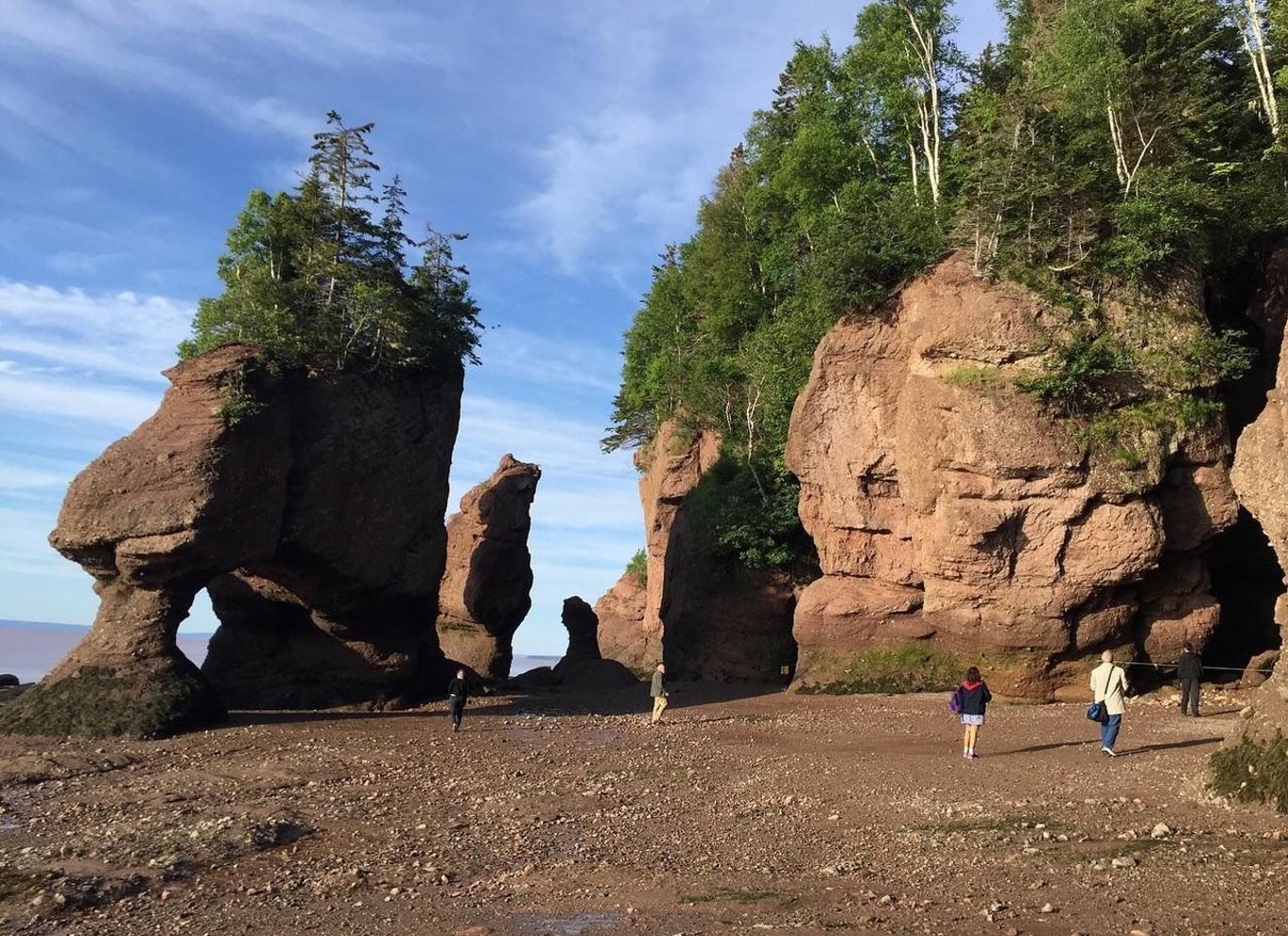 Moncton: Naturskøn shuttleoplevelse til Hopewell Rocks