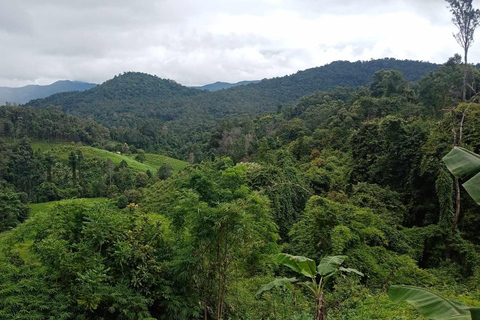 Chiang Mai: 2-dagars djungelvandring med elefantfarm och forsränning