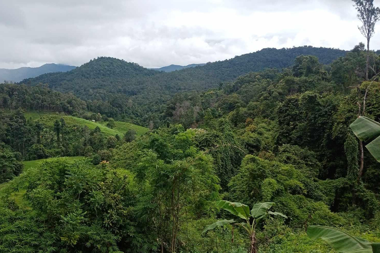 Chiang Mai: 2-dagars djungelvandring med elefantfarm och forsränning