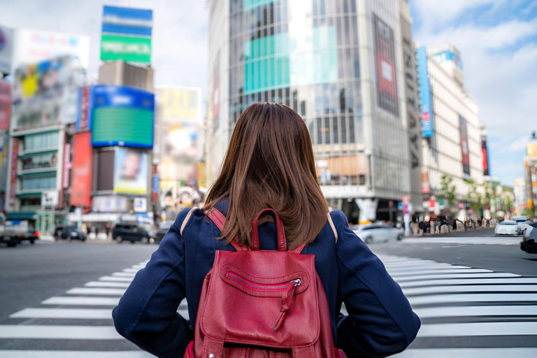 Excursão de 1 dia a Tóquio: Skytree, Santuário Meiji com motorista inglês