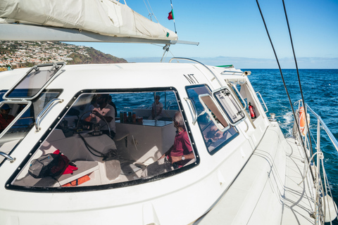 Funchal: osservazione di delfini e balene in catamarano di lusso