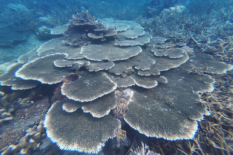 El Nido Combo Tour C + D: Single Booking, Separate Days