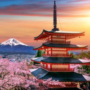 Tokyo: Private Customized Mt Fuji & Hakone Full-Day Tour