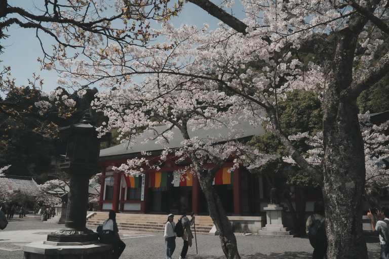 Kyoto Customisable Private Tour with a Local Guide