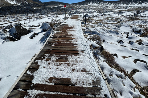 Wandeling Hallasan op het eiland Jeju, de hoogste berg van Zuid-KoreaJeju Hallasan; Sneeuwbloemenwandeltocht met lunch