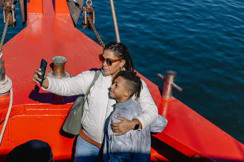 NYC Skyline &amp; Statue of Liberty Sightseeing Cruise90 minuten durende rondleiding