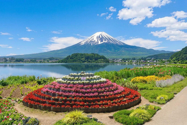 Mt Fuji 8 Spots Customizable Sightseeing Day Tour with Guide Mt Fuji 8 Spots Customizable Sightseeing Day Tour with Guide