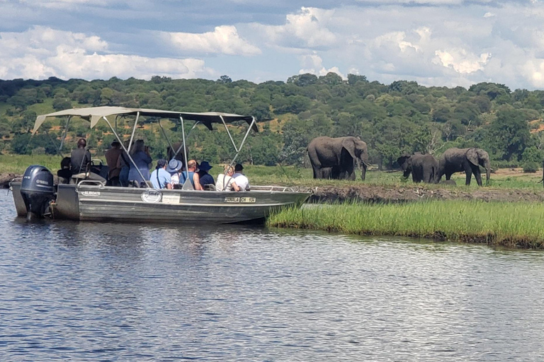 Excursión de un día completo a Chobe