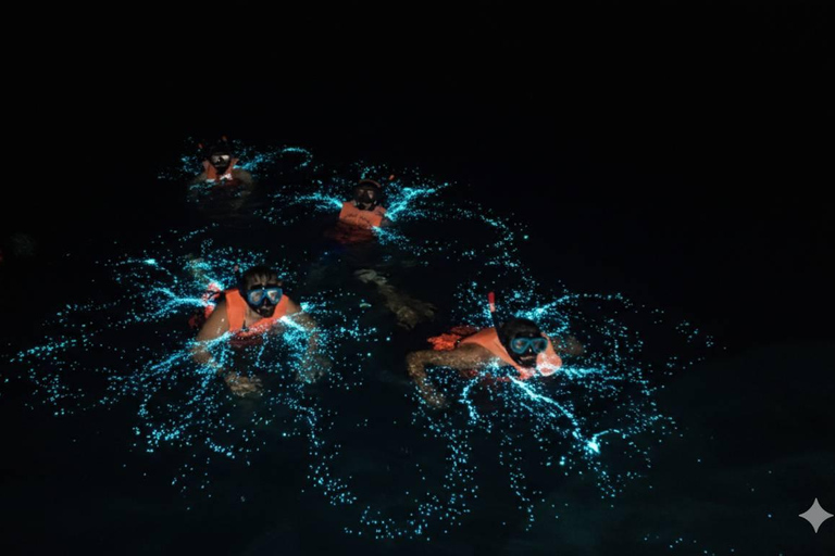 Krabi: Bioluminescent Plankton Night Swim