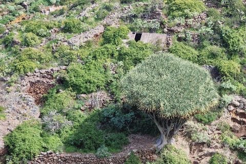 The Wildest Side of La Palma: Hiking into the Past in Garafía La Palma + Salvaje: A Journey into the Past amidst Remote Landscapes