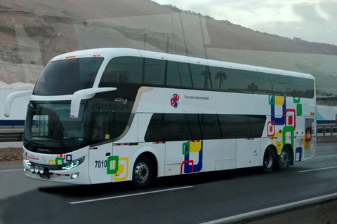 Direct Bus from Cusco to Puerto Maldonado Direct Bus from Cusco to Puerto Maldonado (2nd floor)