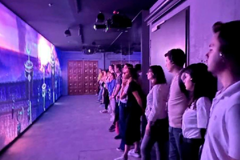 Stambuł: wstęp do Muzeum Historii Hagia Sophia z audioprzewodnikiem