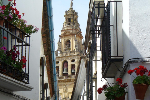 Cordoba - Private Tour including visit to the Fortress