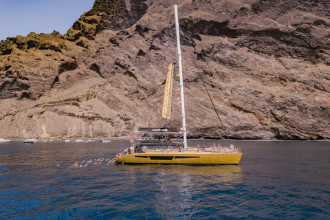 Costa Adeje: walvisspotten Masca en Los GigantesBoottocht zonder ophaalservice