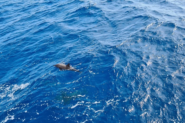 From Makadi: Nefertari Sunset or Morning Cruise With pickup