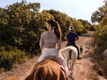 Castelsardo: horseback in Sedini