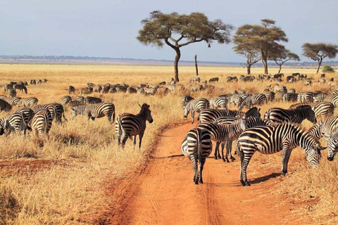Tanzanie : forfait aventure d&#039;un an avec ascension du Kilimandjaro