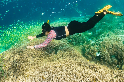 Bali to Gili Trawangan: Day Trip with Snorkeling & Lunch