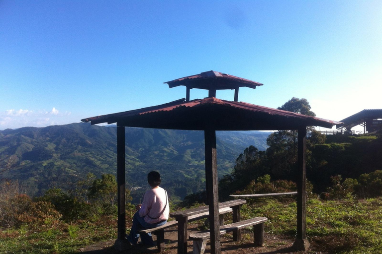 Medellin: Palmitas Coffee Tour