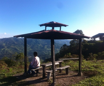 Medellin: Palmitas Coffee Tour
