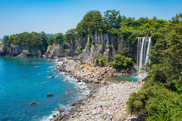 Jeju Private Car Charter tour for Cruise Guests