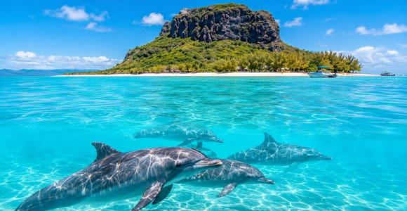 Mauritius: Île aux Bénitiers Dolphin watching All Inclusive