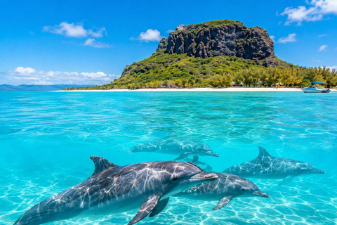 Mauritius: Île aux Bénitiers Dolphin watching All Inclusive Île aux Bénitiers - All Inclusive – Shared Navette Transfer