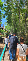 Mangroves Green Escapes by Discovery Center, Kep West - Housity