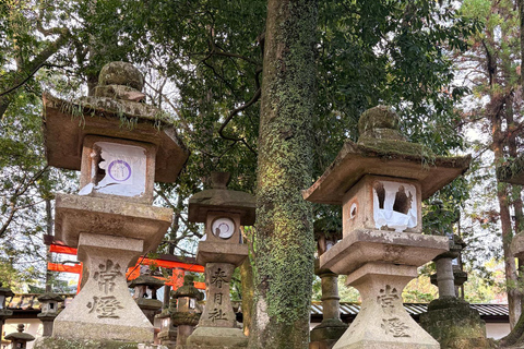 Private Nara Early Bird Tour from Kyoto