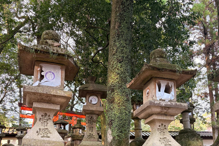 Private Nara Early Bird Tour from Kyoto