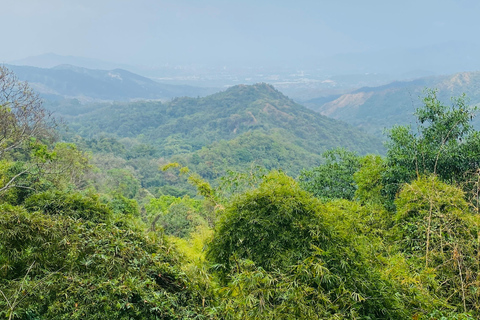 From Santa Marta: Minca and Coffee and Cacao Tour with Lunch Minca Magic and exotic Coffee and Cacao Tour