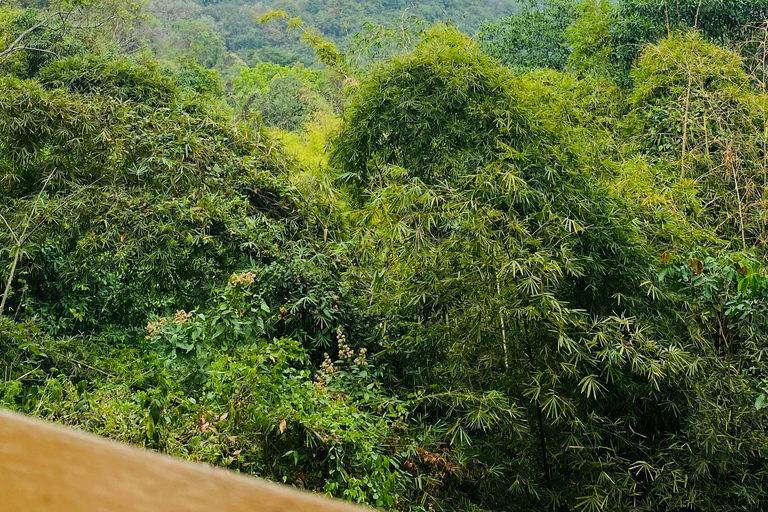 From Santa Marta: Minca and Coffee and Cacao Tour with Lunch Minca Magic and exotic Coffee and Cacao Tour