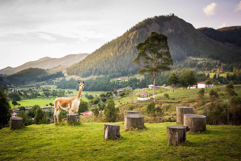 Cajamarca: Wycieczka po farmach Pocon i Otuzco