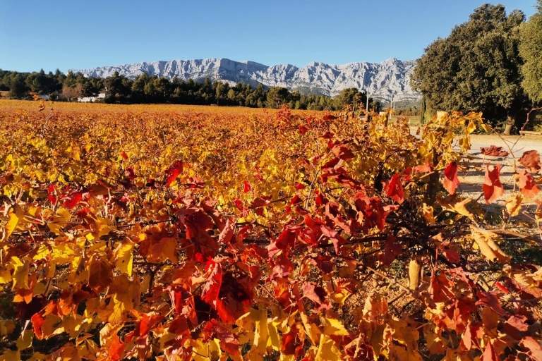 The vineyards of the Coteaux d'Aix-en-Provence