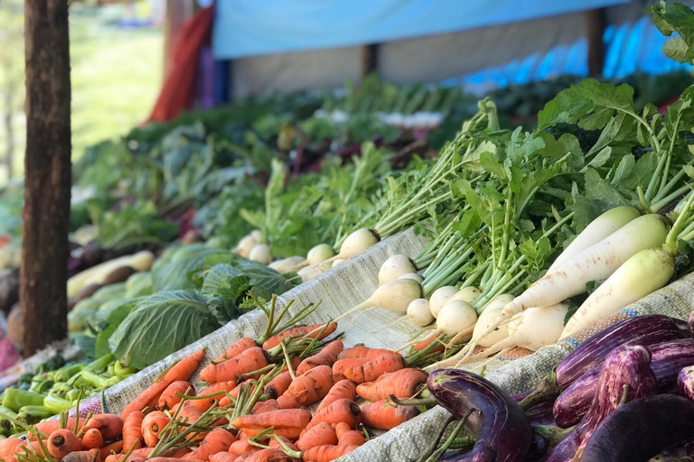 Kandy: Nuwara-Eliya Trip with Driver-Guide & Scenic Stops