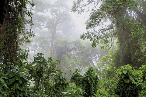 Natural Walking tour In Buhanga Eco Park