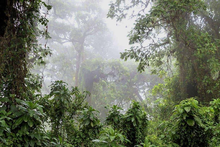 Natural Walking tour In Buhanga Eco Park