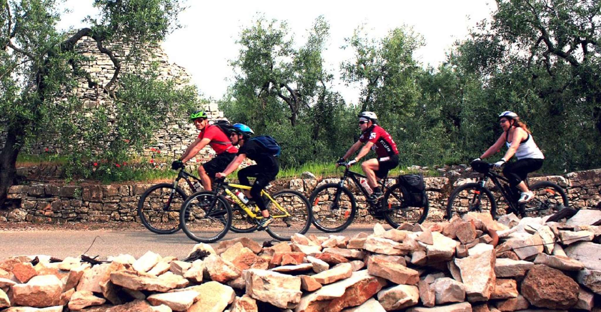 Castel del Monte eBike Tour - Hizvo