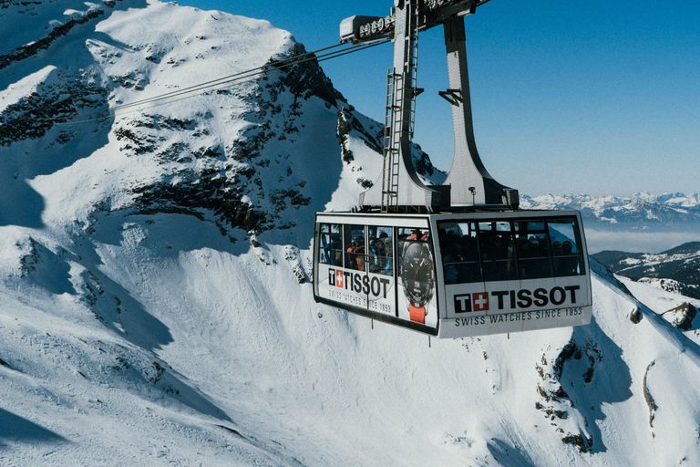 Glacier 3000 & Château d'Aigle - Private Van from Montreux
