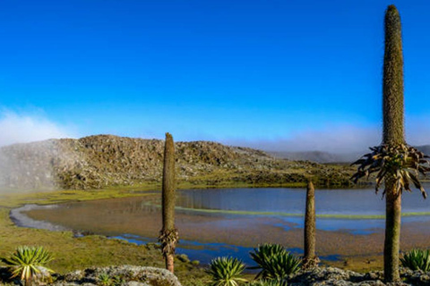 From Addis Ababa:-3Days Bale mountains tour-with flight