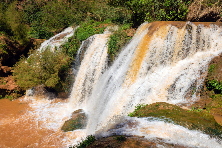 Depuis Marrakech : excursion de 1 jour aux cascades d'Ouzoud