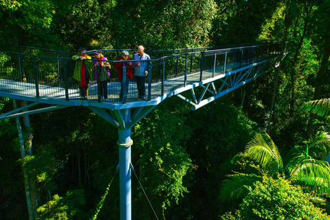 Brisbane: Hop on Hop off-buss till Tamborine Mountain